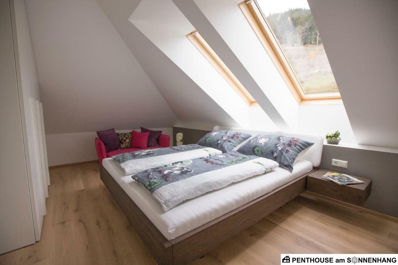 Penthouse Am Sonnenhang Mit Exklusiver Ausstattung Schladming Ngoại thất bức ảnh